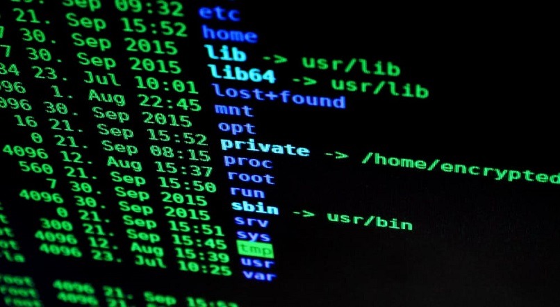 Raspberry Pi: Malware